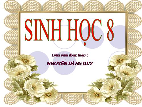 Bài 60. Cơ quan sinh dục nam