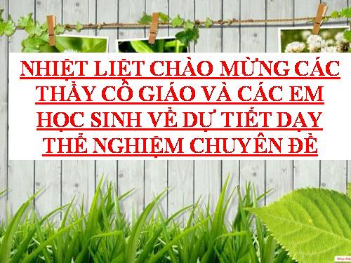 Bài 44. Thực hành: Tìm hiểu về hệ chức năng (liên quan đến cấu tạo) của tủy sống