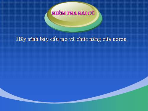 Bài 44. Thực hành: Tìm hiểu về hệ chức năng (liên quan đến cấu tạo) của tủy sống