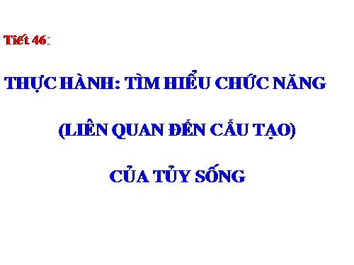 Bài 44. Thực hành: Tìm hiểu về hệ chức năng (liên quan đến cấu tạo) của tủy sống