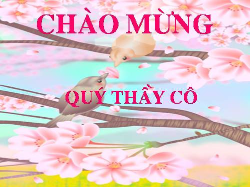 Bài 41. Cấu tạo và chức năng của da