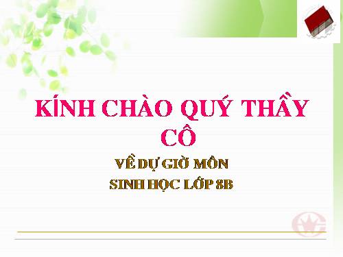 Bài 41. Cấu tạo và chức năng của da