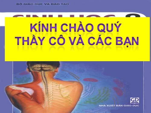 Bài 49. Cơ quan phân tích thị giác