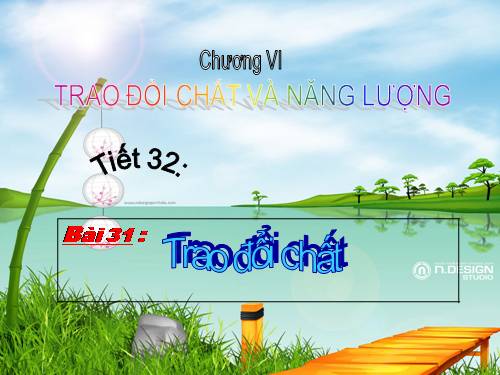 Bài 31. Trao đổi chất