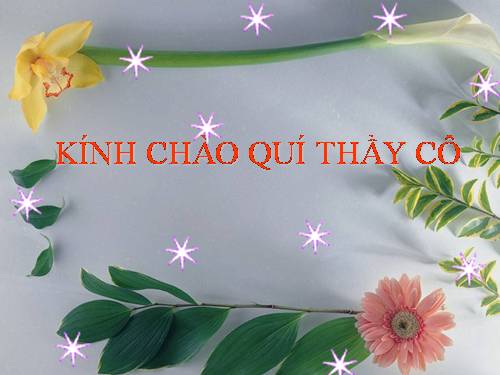 Bài 39. Bài tiết nước tiểu