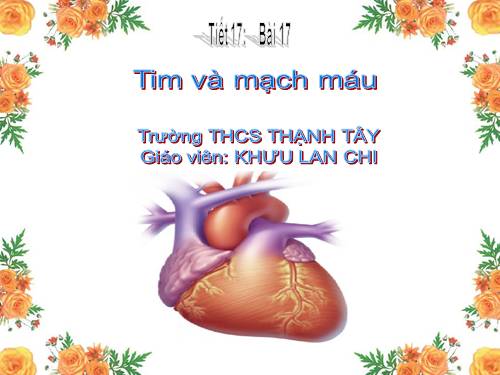 Bài 17. Tim và mạch máu