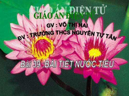 Bài 39. Bài tiết nước tiểu