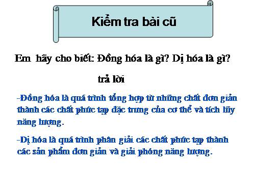 Bài 33. Thân nhiệt