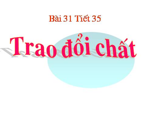 Bài 31. Trao đổi chất