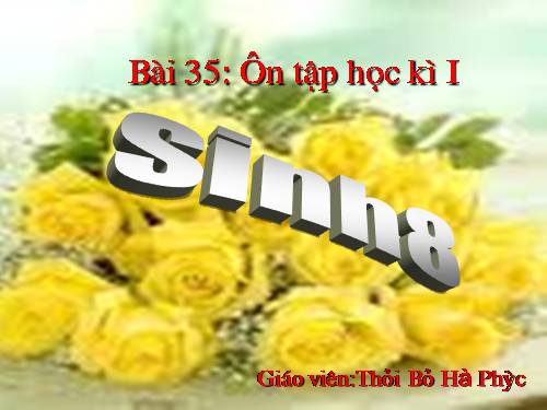 Bài 35. Ôn tập học kì I