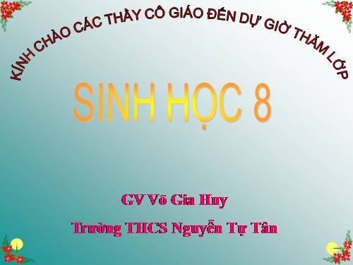 Bài 31. Trao đổi chất