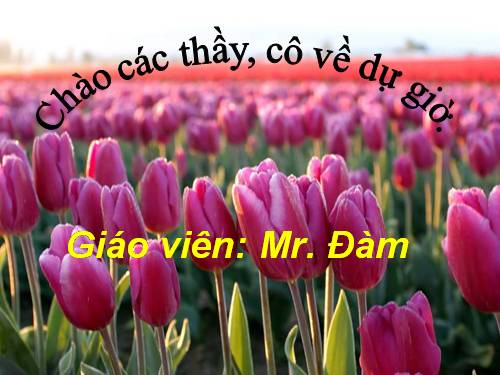 Bài 26. Thực hành: Tìm hiểu hoạt động của enzim trong nước bọt