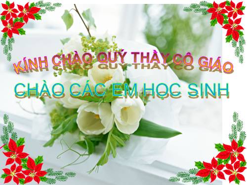 Bài 30. Vệ sinh tiêu hóa