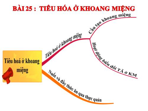 Bài 25. Tiêu hóa ở khoang miệng