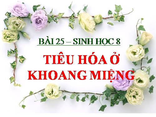 Bài 25. Tiêu hóa ở khoang miệng