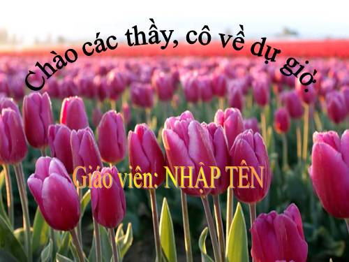 Bài 26. Thực hành: Tìm hiểu hoạt động của enzim trong nước bọt