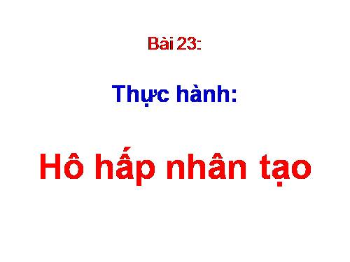 Bài 23. Thực hành: Hô hấp nhân tạo