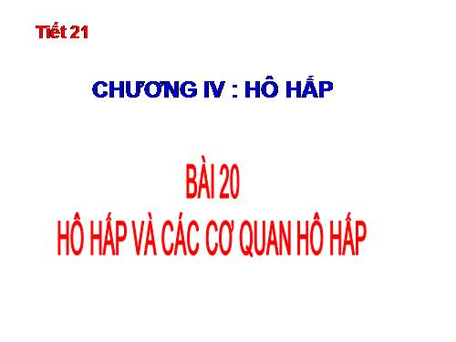 Bài 20. Hô hấp và các cơ quan hô hấp