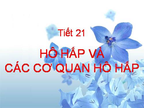 Bài 20. Hô hấp và các cơ quan hô hấp