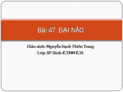 Bài 47. Đại não