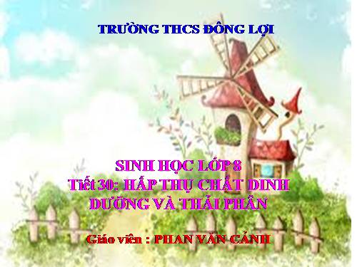 Bài 29. Hấp thụ chất dinh dưỡng và thải phân