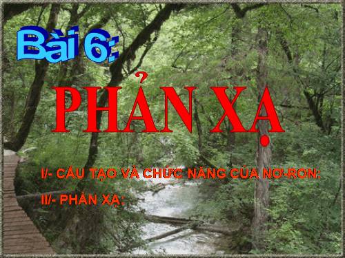 Bài 6. Phản xạ