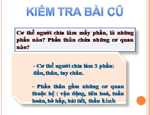 Bài 3. Tế bào
