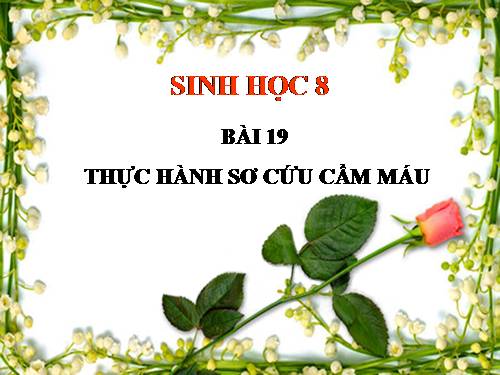 Bài 19. Thực hành: Sơ cứu cầm máu