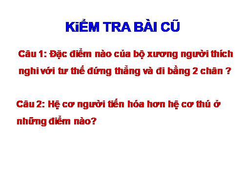 Bài 12. Thực hành: Tập sơ cứu và băng bó cho người gãy xương