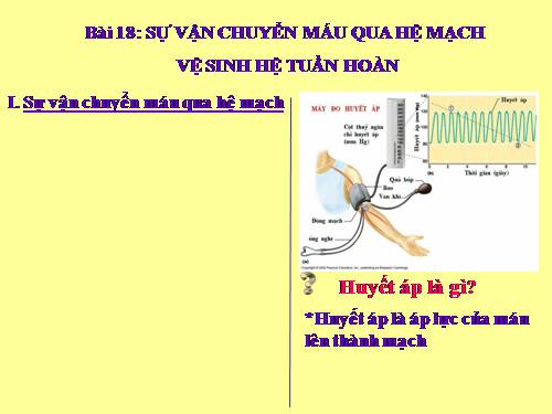 Bài 18. Vận chuyển máu qua hệ mạch. Vệ sinh hệ tuần hoàn