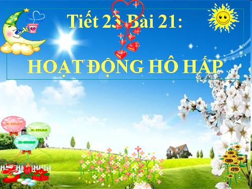 Bài 21. Hoạt động hô hấp