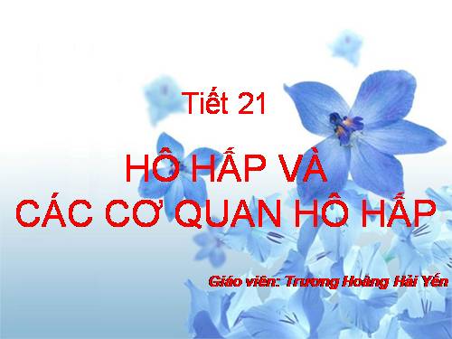 Bài 20. Hô hấp và các cơ quan hô hấp