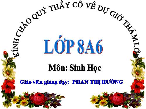 Bài 15. Đông máu và nguyên tắc truyền máu
