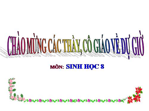 Bài 22. Vệ sinh hô hấp