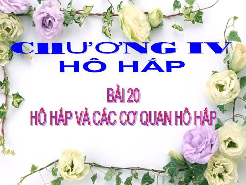 Bài 20. Hô hấp và các cơ quan hô hấp