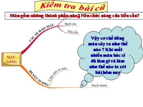 Bài 15. Đông máu và nguyên tắc truyền máu