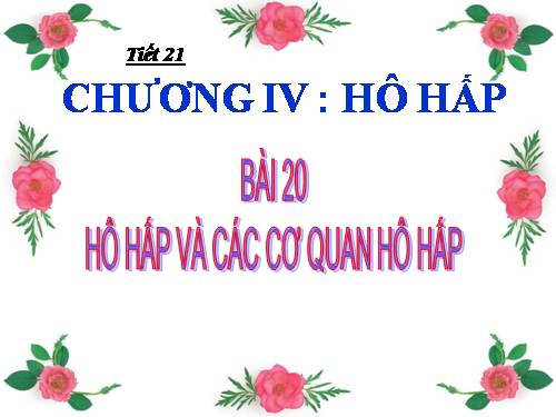 Bài 20. Hô hấp và các cơ quan hô hấp