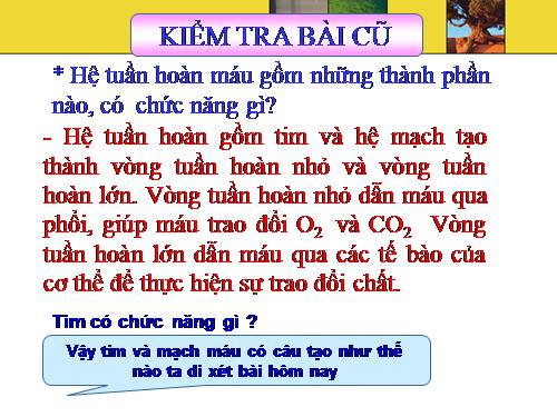 Bài 17. Tim và mạch máu