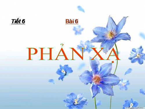 Bài 6. Phản xạ