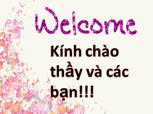Bài 17. Tim và mạch máu