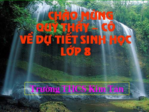 Bài 13. Máu và môi trường trong cơ thể