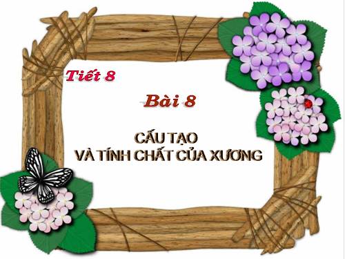 Bài 8. Cấu tạo và tính chất của xương