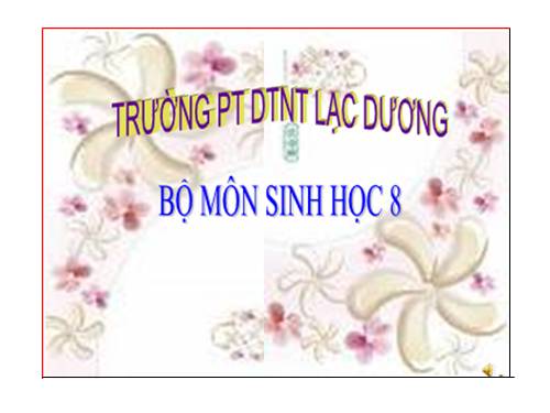 Bài 26. Thực hành: Tìm hiểu hoạt động của enzim trong nước bọt