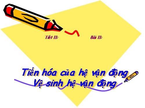 Bài 11. Tiến hóa của hệ vận động. Vệ sinh hệ vận động