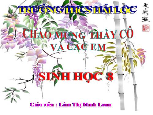 Bài 39. Bài tiết nước tiểu