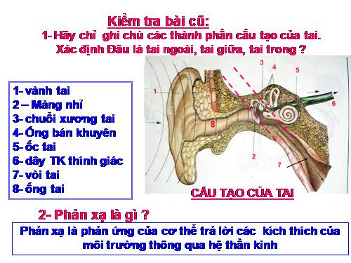 Bài 52. Phản xạ không điều kiện và phản xạ có điều kiện