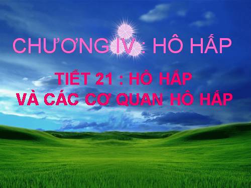 Bài 20. Hô hấp và các cơ quan hô hấp