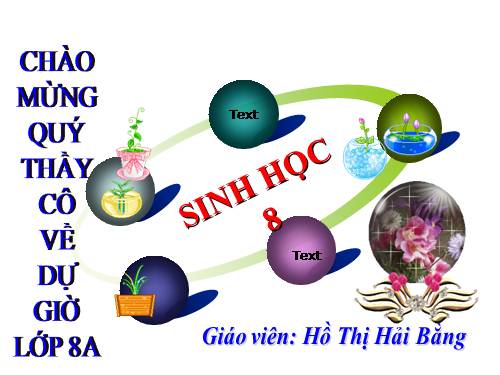 Bài 31. Trao đổi chất