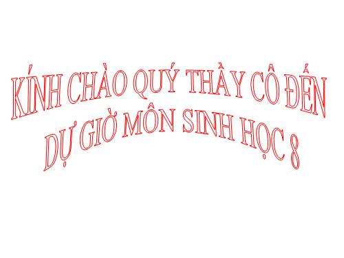 Bài 40. Vệ sinh hệ bài tiết nước tiểu