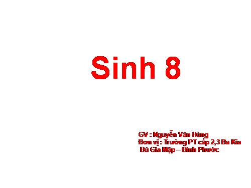 Bài 60. Cơ quan sinh dục nam